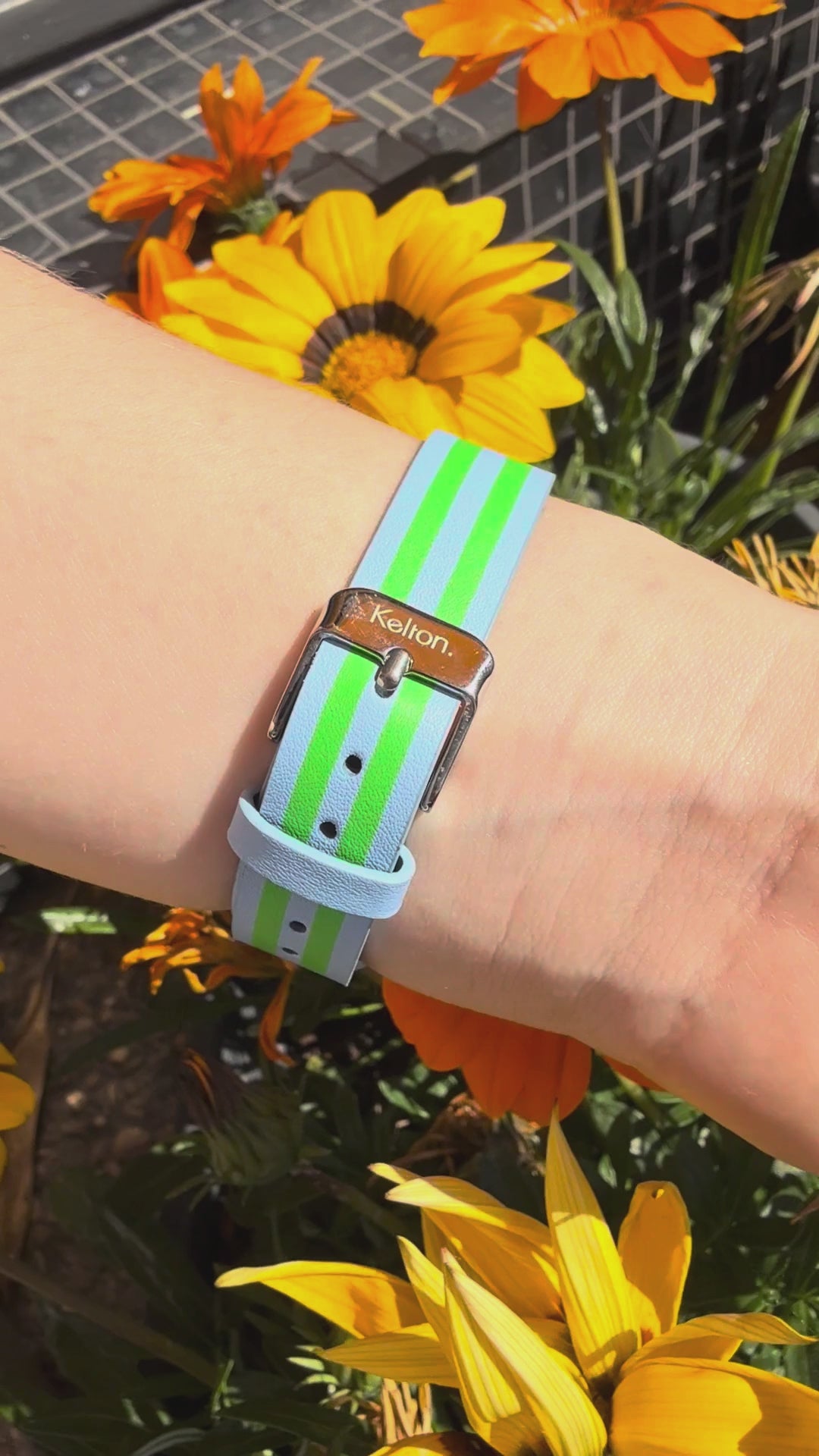 Image of Montre Colorama David H.