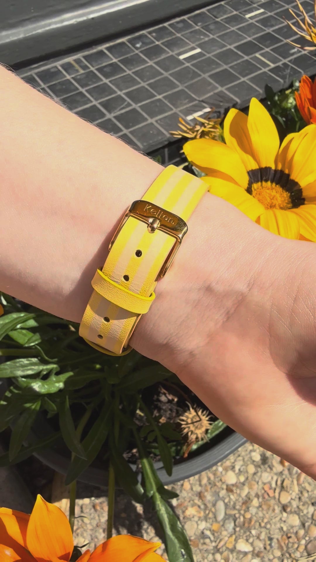 Image of Montre Colorama Citron-Noisette